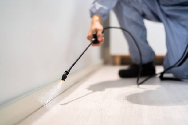 Licensed Pest Control service in Coralville, IA - Nex Pest Control