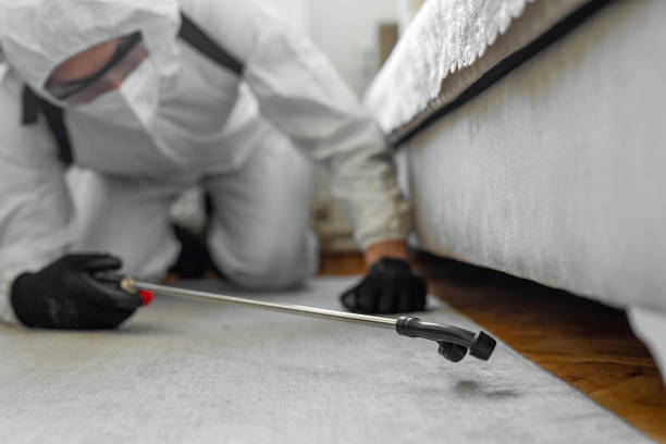 Professional Pest Control technician working in Coralville, IA